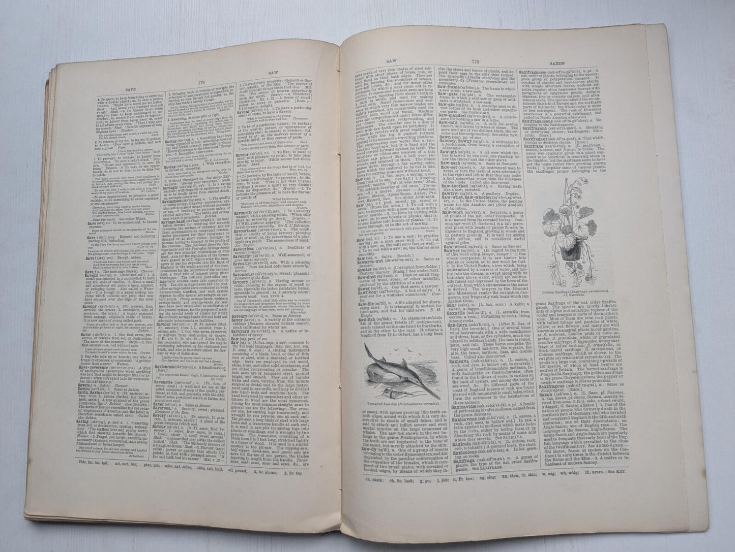 Ogilvie's Imperial Dictionary of The English Language Div. 13 - 1880's Approx