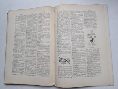 Ogilvie's Imperial Dictionary of The English Language Div. 13 - 1880's Approx
