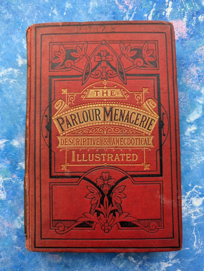 The Parlour Menagerie - Descriptive & Anecdotal 3rd Edition - 1881, John Hogg
