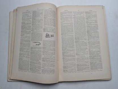 Ogilvie's Imperial Dictionary of The English Language Div. 7 - 1880's Approx