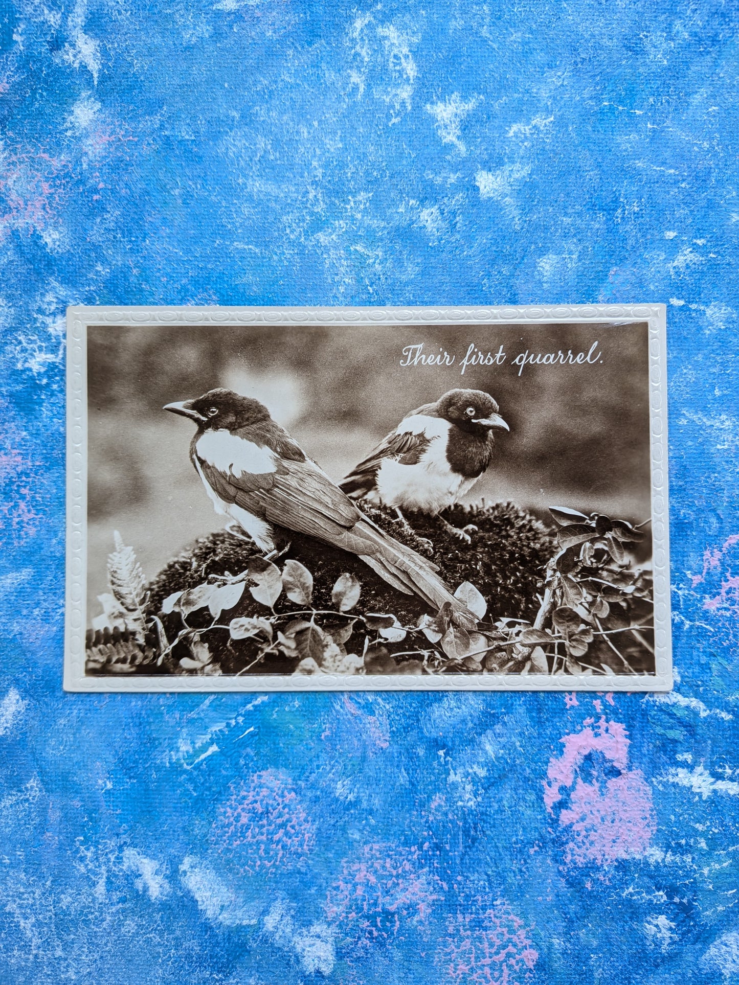 Vintage Magpie Birds Postcard - "Their First Quarrel" - Real Photo 3444
