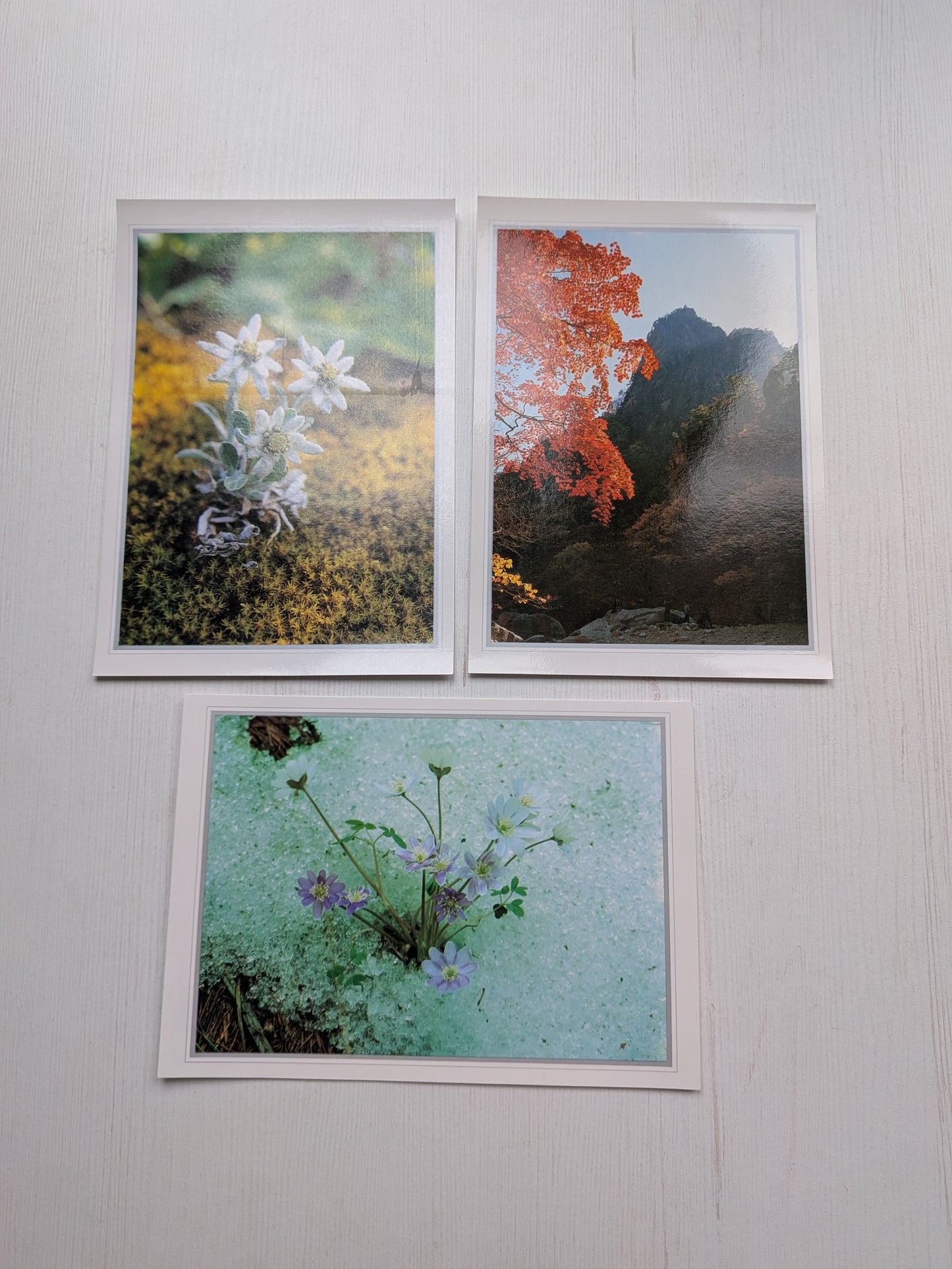 Vintage South Korea Seoraksan National Park x8 Postcard Set