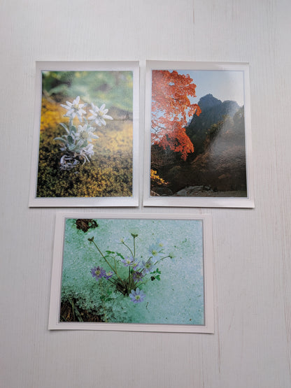 Vintage South Korea Seoraksan National Park x8 Postcard Set