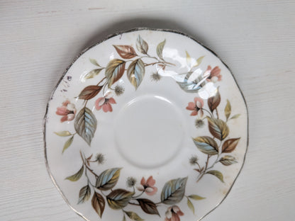 Vintage Royal Adderley Beechwood Pattern x2 Fine Bone China Saucers