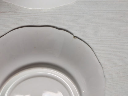 Vintage Royal Adderley Beechwood Pattern x2 Fine Bone China Saucers