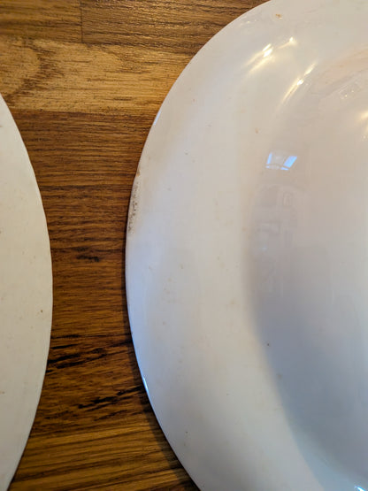 x2 Vintage Wood & Sons Dorset Pattern Plates - Made in England