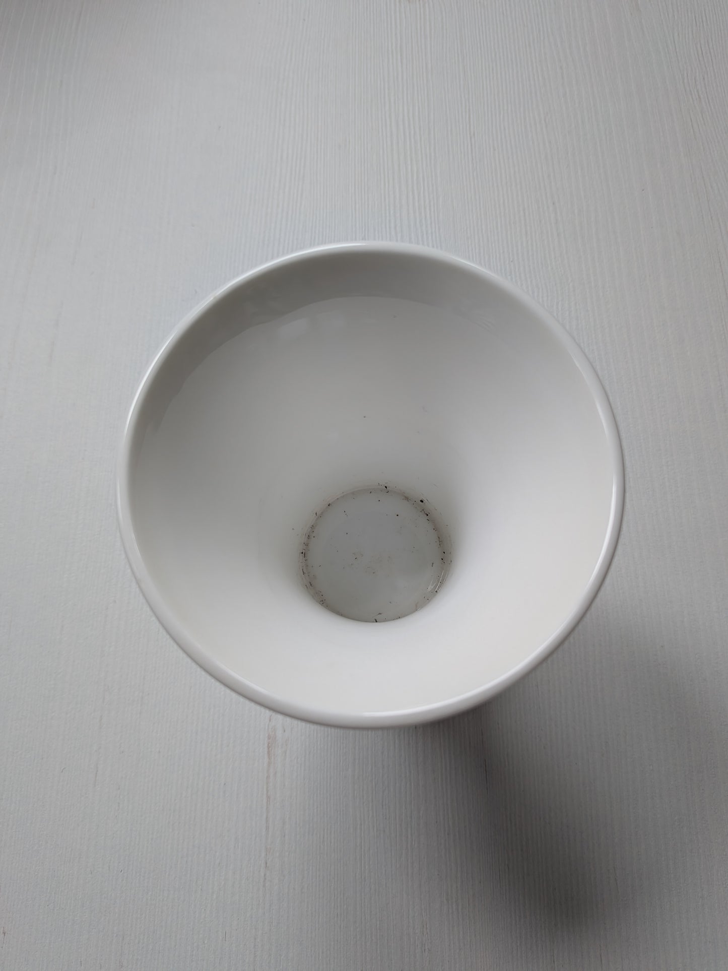 Wedgwood Ice Rose Posy/Short Vase - Bone China, Made in England