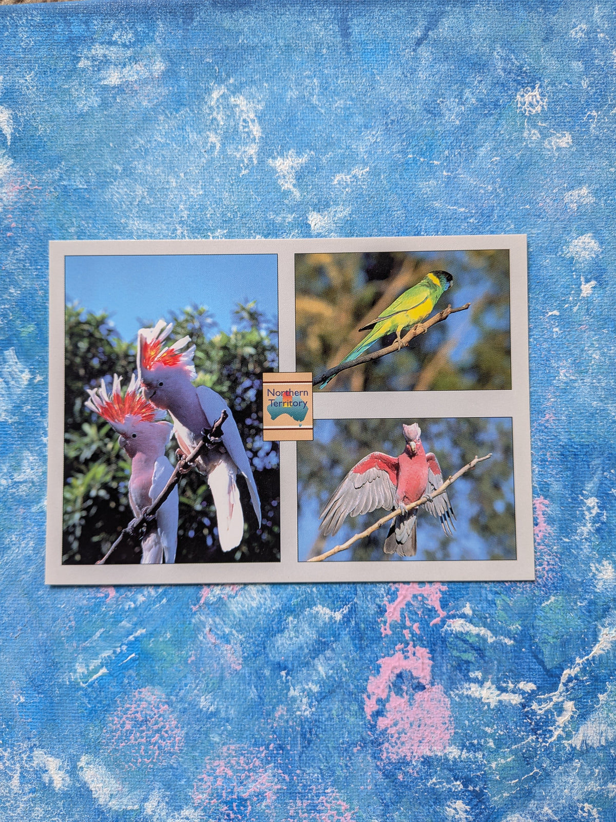Australian Postcard - Northern Territory Birds