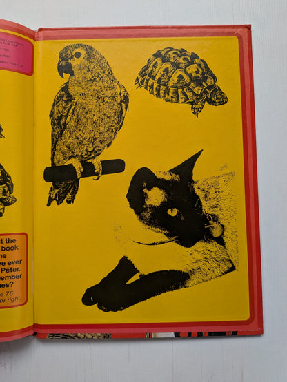Blue Peter Eighteenth Book - 1981 - BBC Books