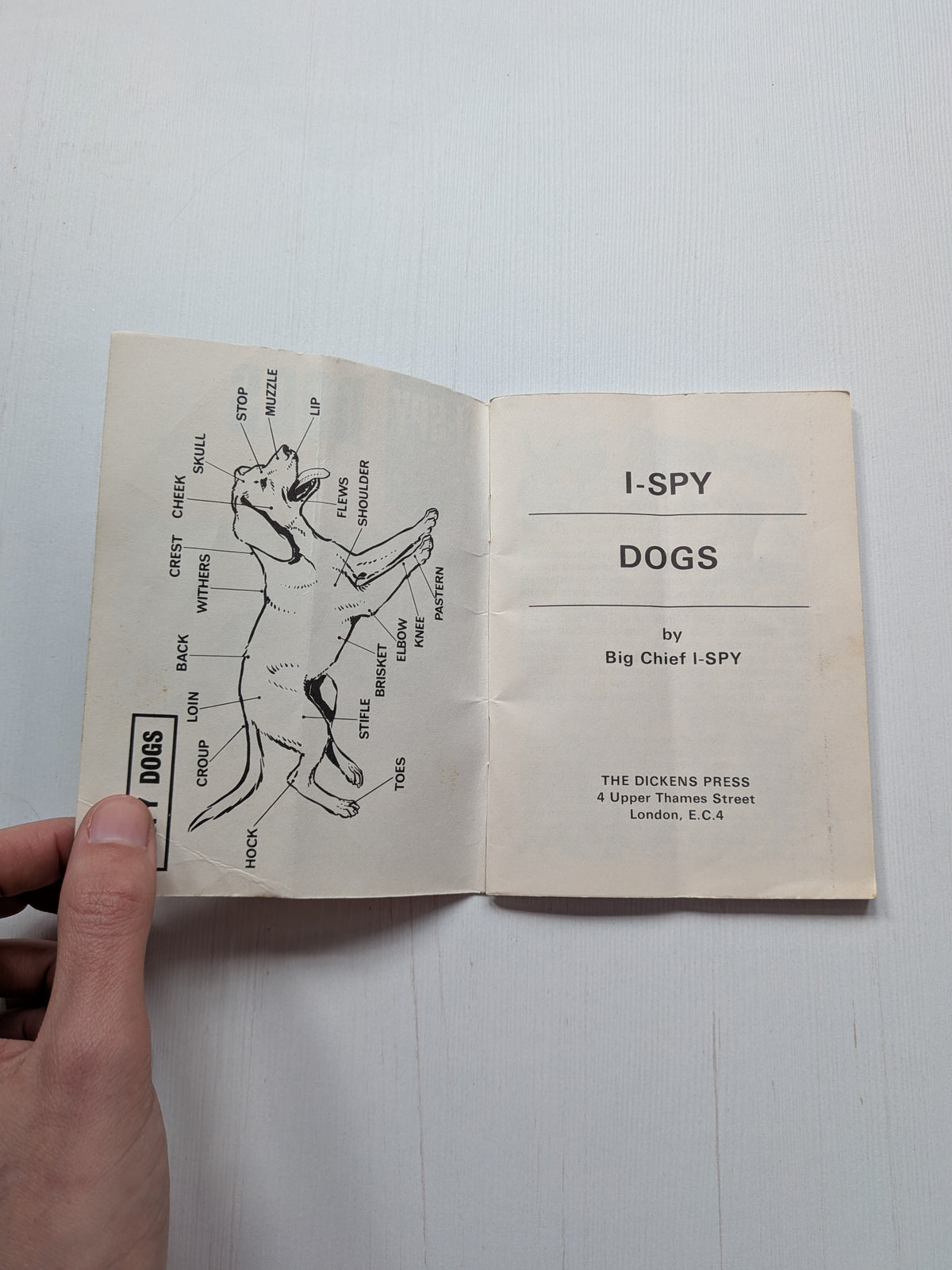 Vintage I-Spy Dogs Booklet - 1966 - The Dickens Press