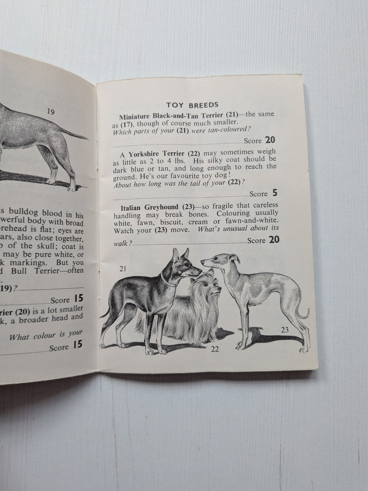 Vintage I-Spy Dogs Booklet - 1966 - The Dickens Press
