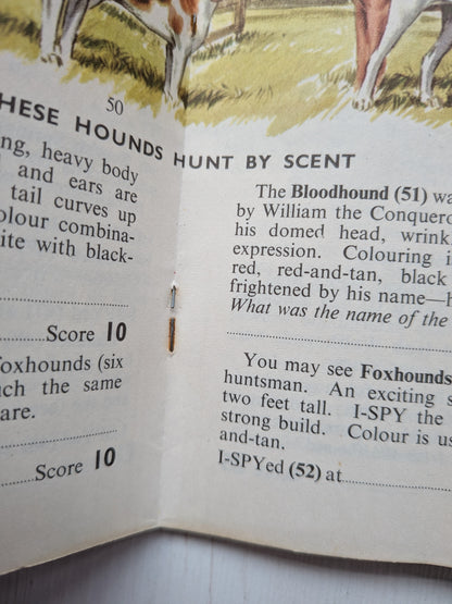 Vintage I-Spy Dogs Booklet - 1966 - The Dickens Press