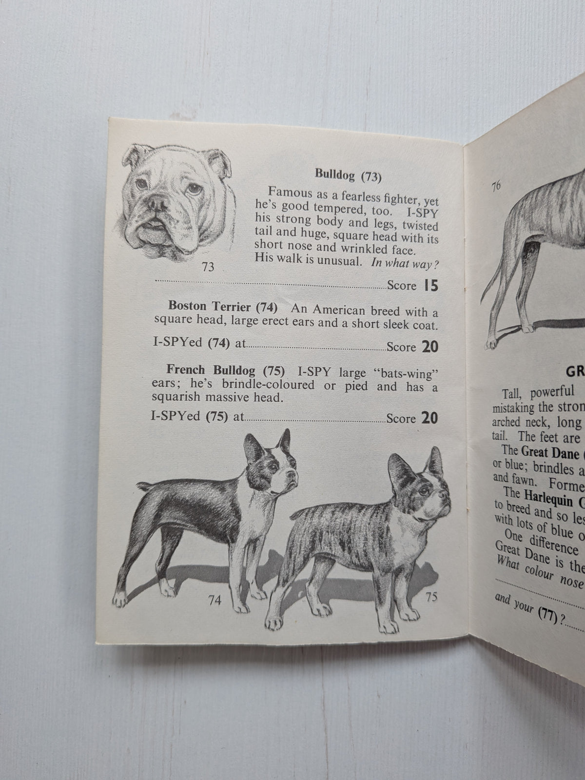 Vintage I-Spy Dogs Booklet - 1966 - The Dickens Press