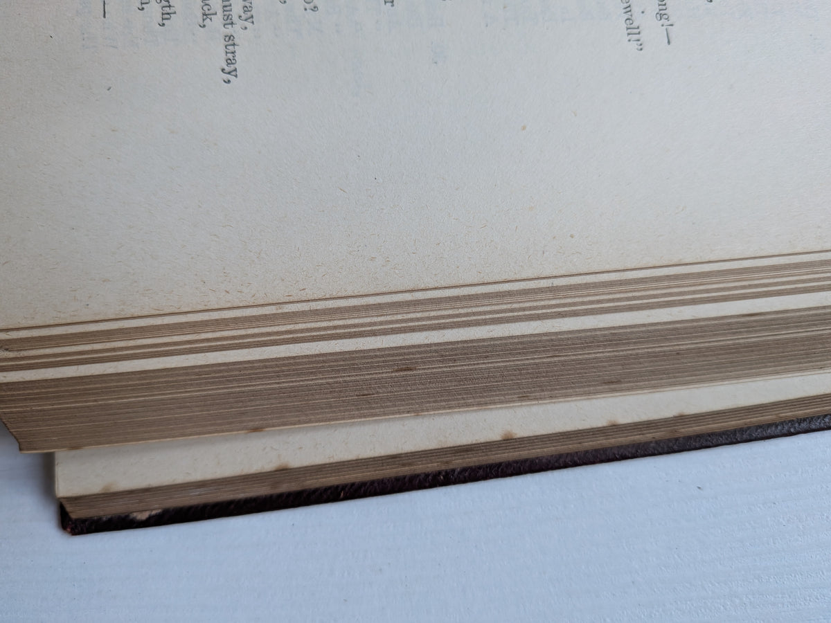 The Poetical Works Sir Walter Scott, Griffith Farran Okeden & Welsh 1890s Approx