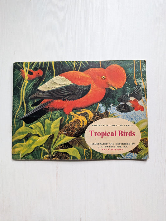 Vintage Tropical Birds Picture Tea Card Album -1961 - Brooke Bond - Complete