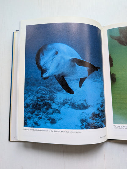 Save The Dolphins by Horace Dobbs - Signed by Author - 1981 - Souvenir Press