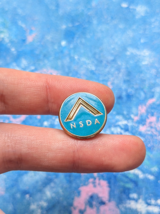 Vintage NDSA National Safe Diving Awards Enamel Pin Badge