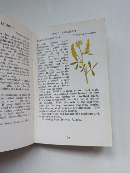 The Observer's Book of British Wild Flowers by W. J. Stokoe - 1941