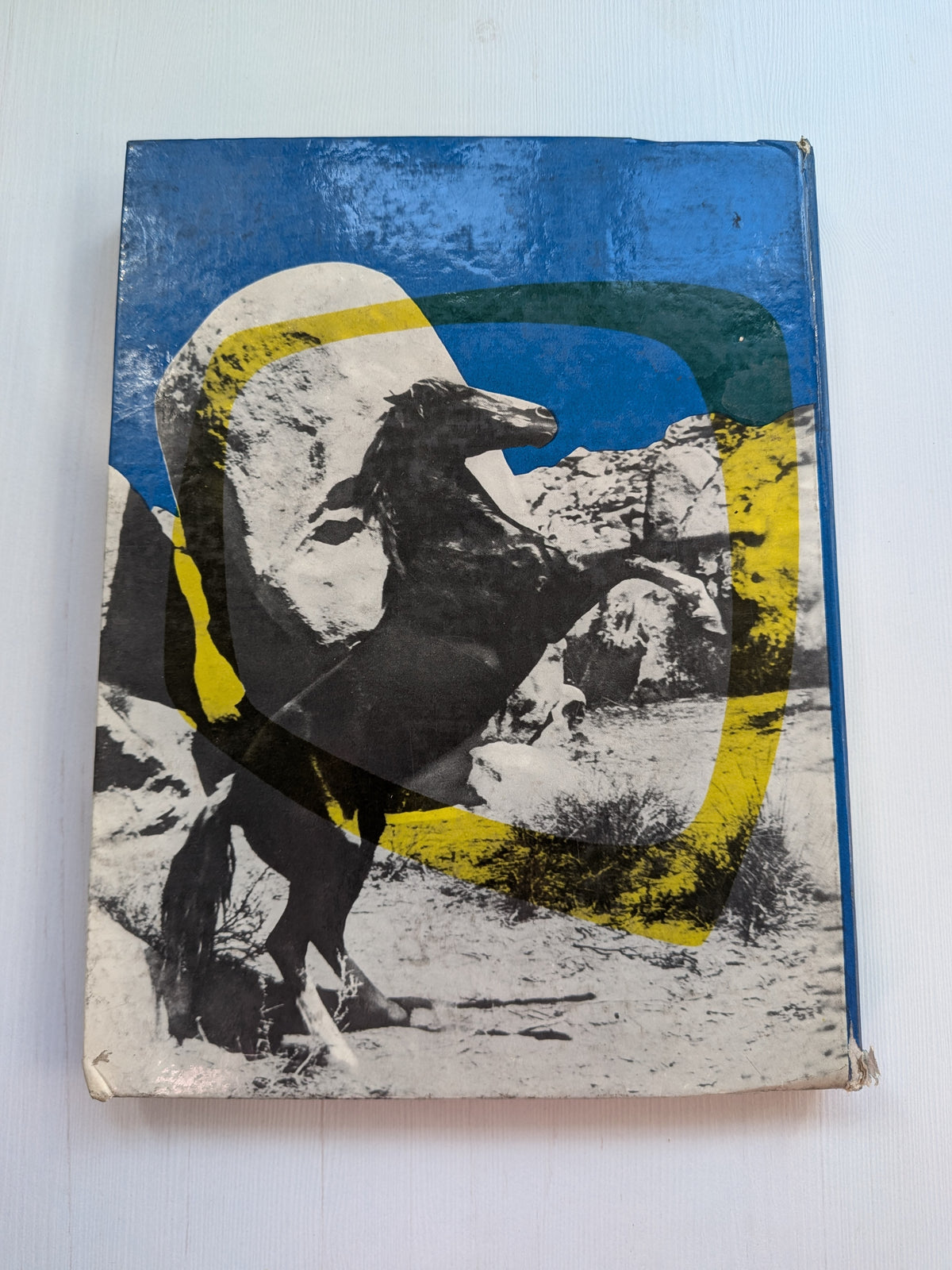 Champion The Wonder Horse - A Daily Mirror Book - 1957