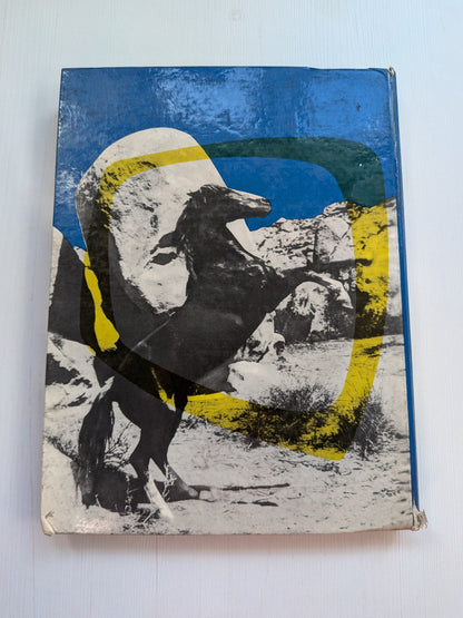 Champion The Wonder Horse - A Daily Mirror Book - 1957