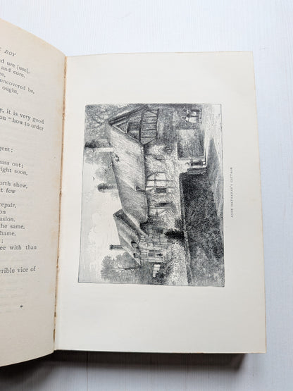 Shakespeare The Boy by William James Rolfe - 1897 - Chatto & Windus