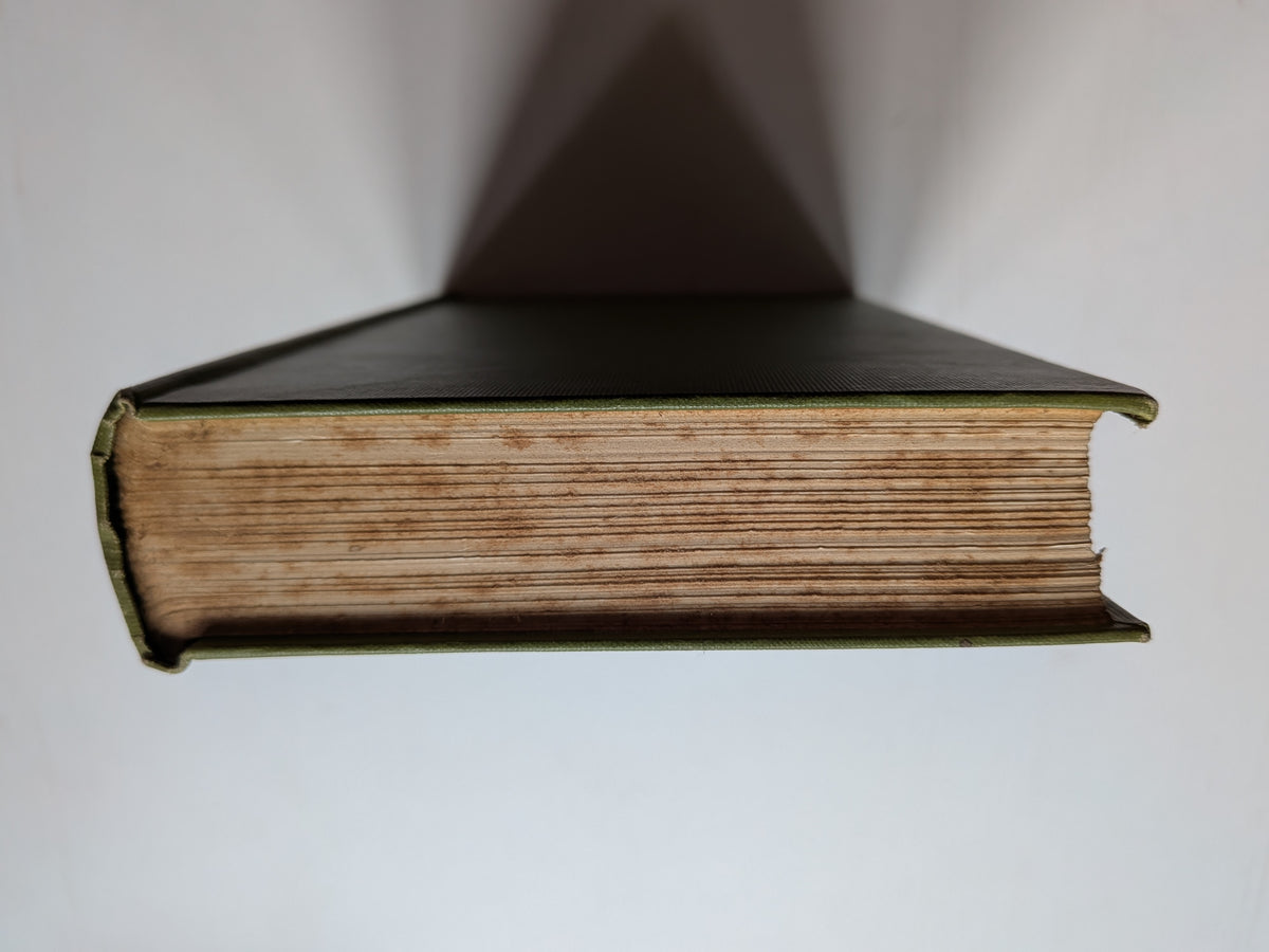 Shakespeare The Boy by William James Rolfe - 1897 - Chatto & Windus