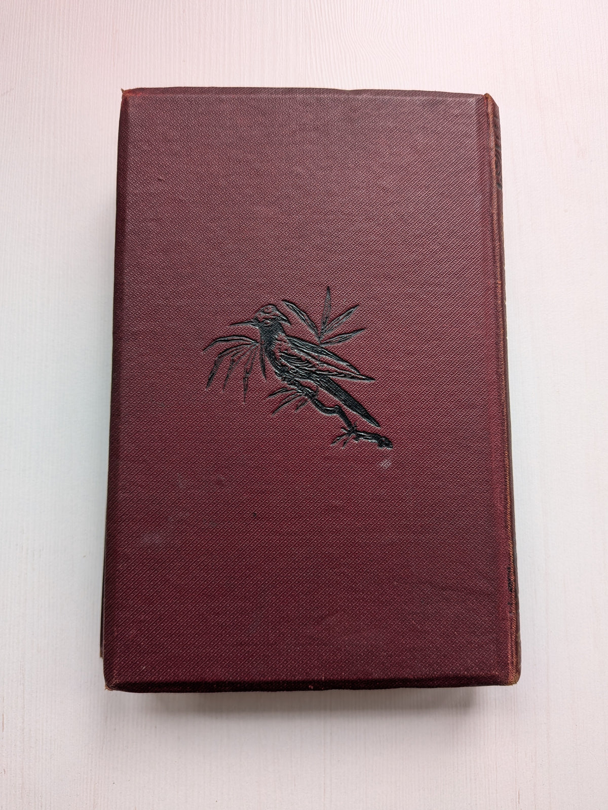 Infelice by Augusta J. Evans Wilson - W. Nicholson & Sons - 1900s Approx