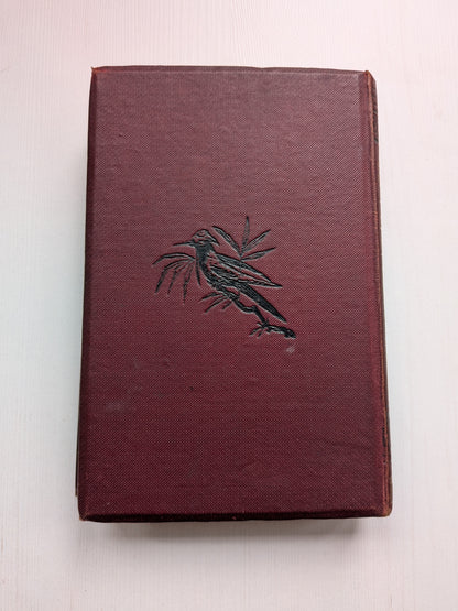 Infelice by Augusta J. Evans Wilson - W. Nicholson & Sons - 1900s Approx