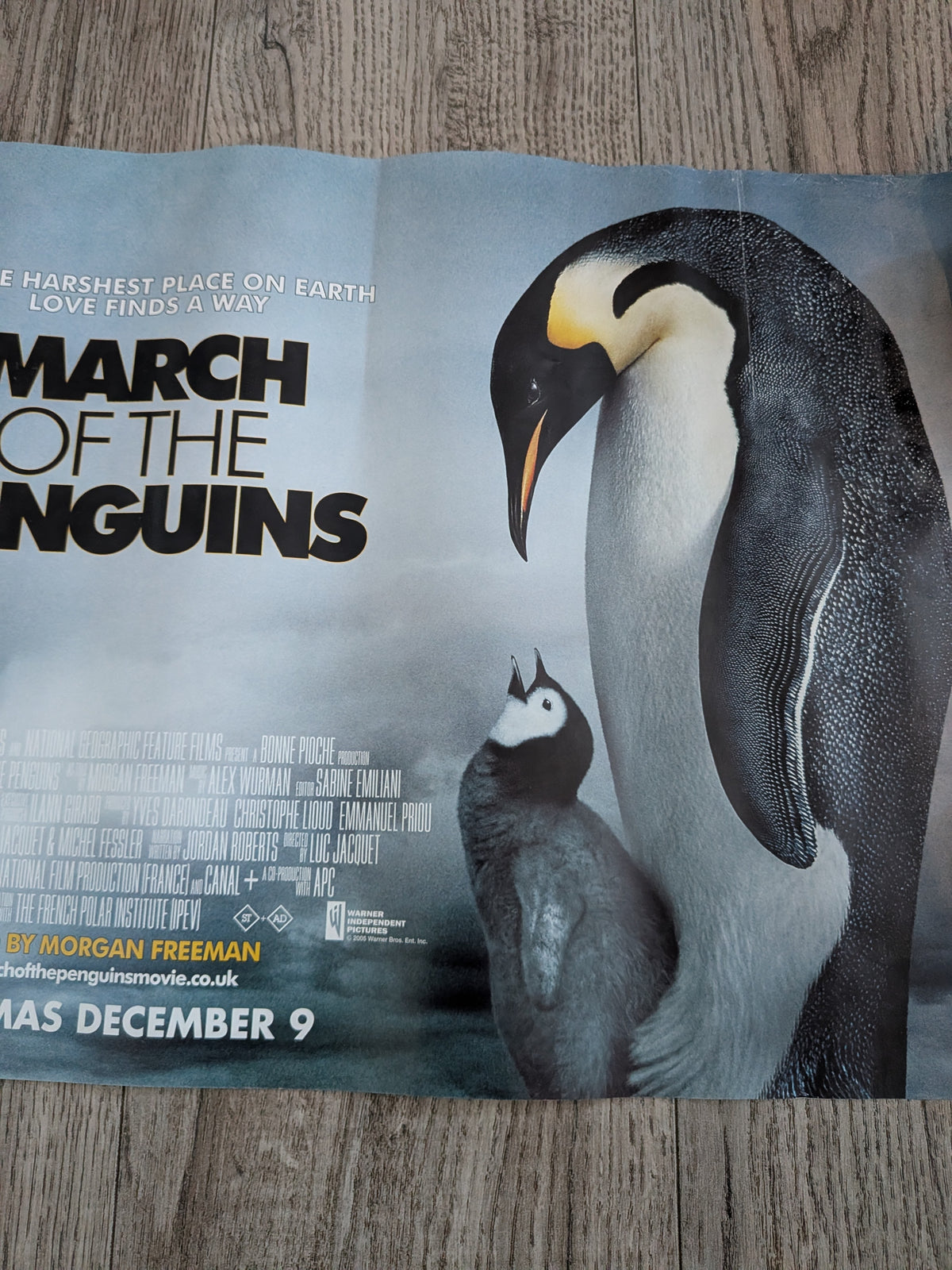 March of The Penguins 2005 Movie UK Cinema Release Small Poster