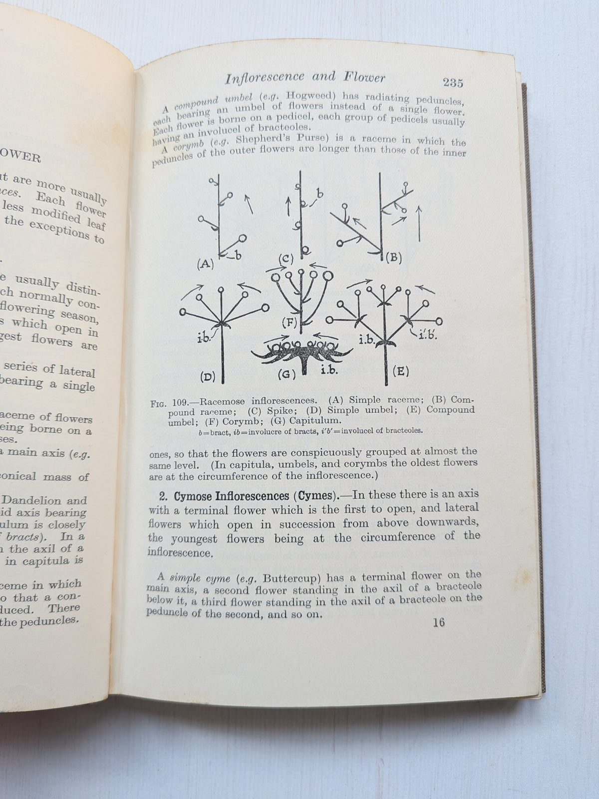 Elementary General Biology Part II by F. J. Wyeth - 1935 - G. Bell and Sons Ltd