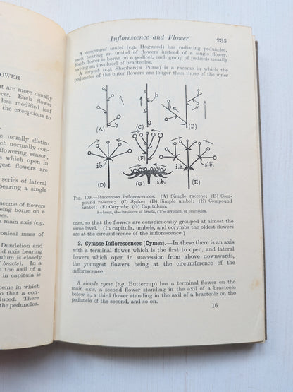 Elementary General Biology Part II by F. J. Wyeth - 1935 - G. Bell and Sons Ltd