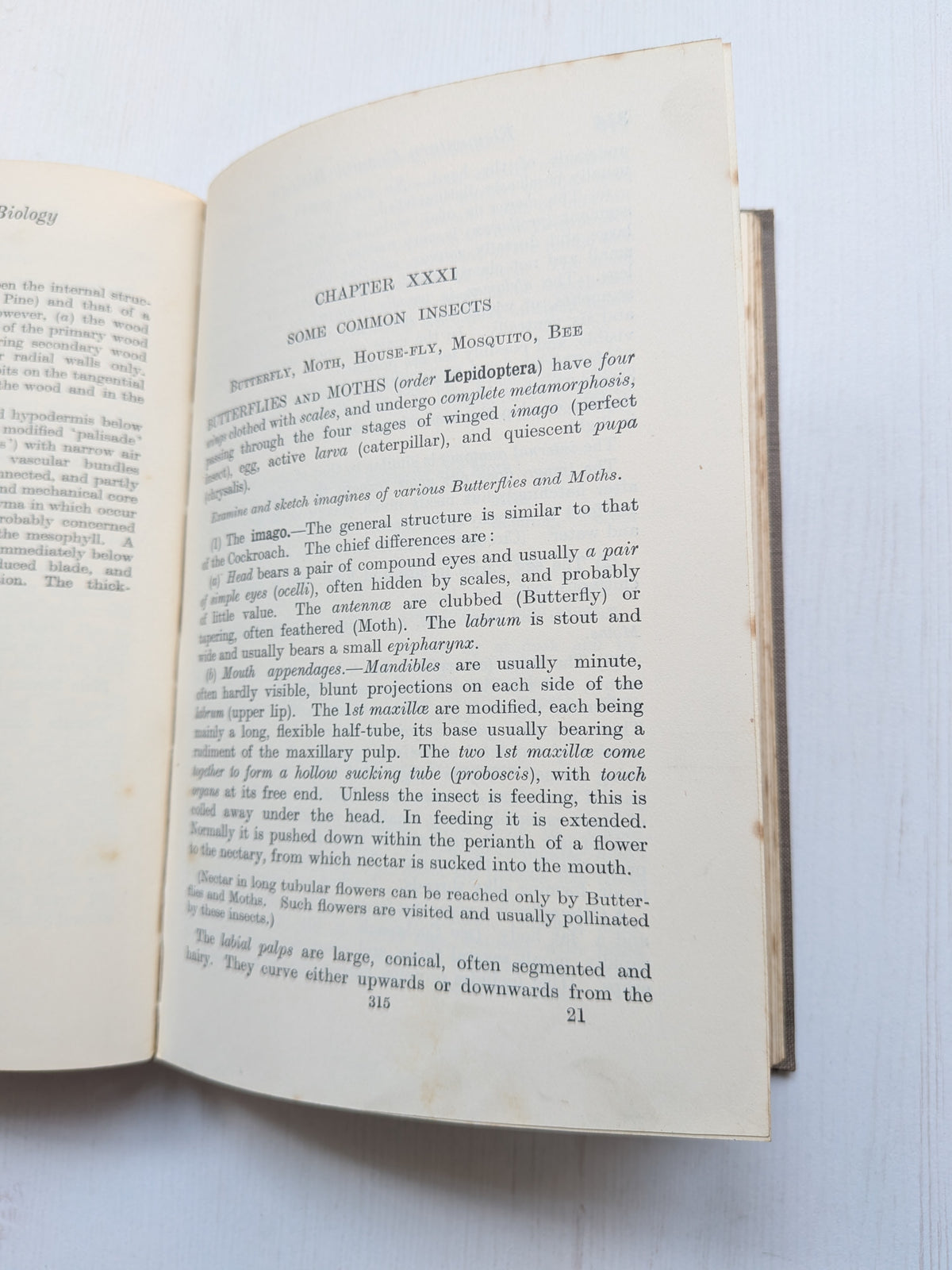 Elementary General Biology Part II by F. J. Wyeth - 1935 - G. Bell and Sons Ltd