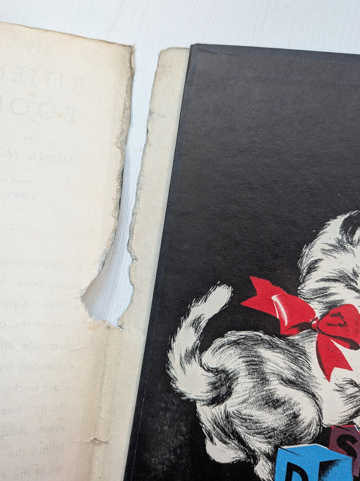 My Kitten Book by Sheena Morey - 1946 - Childhood Publications Ltd