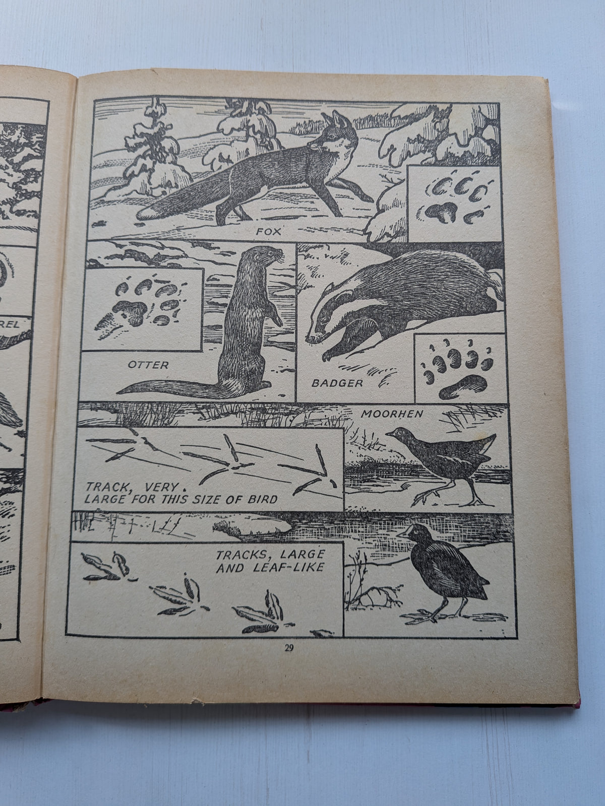 Happytime Story Book - A Crackerjack Book - The Children's Press