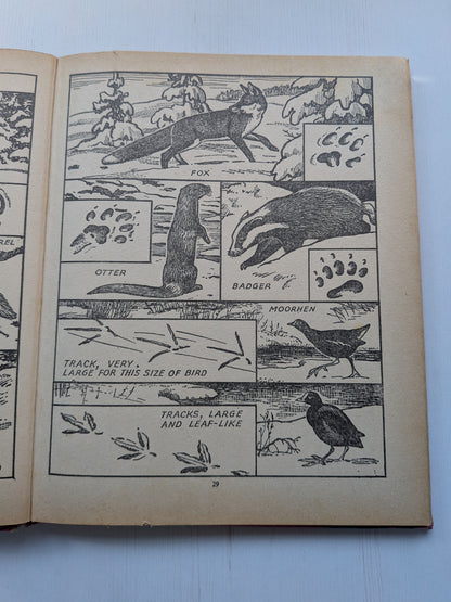 Happytime Story Book - A Crackerjack Book - The Children's Press