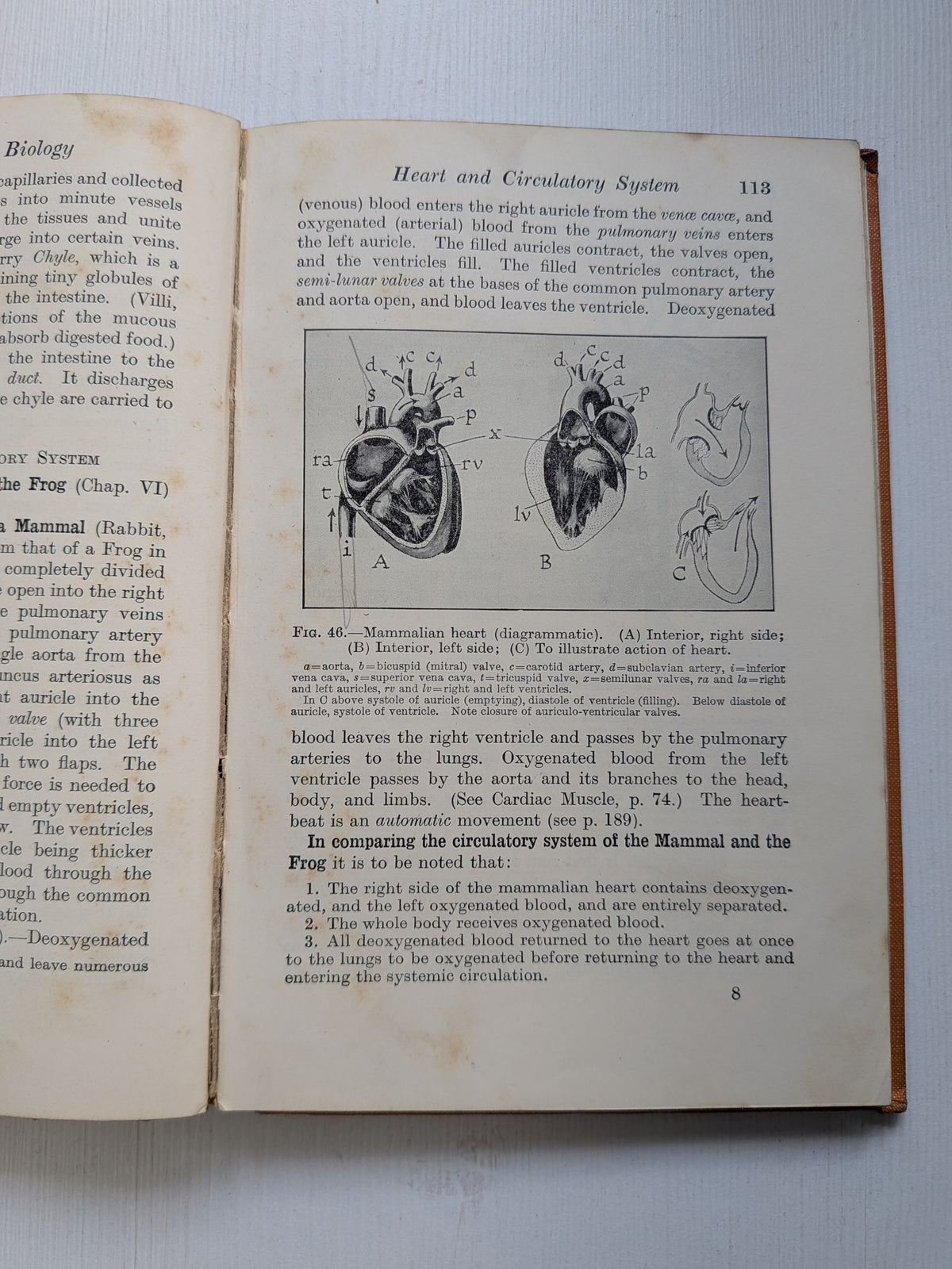 Elementary General Biology Part I by F. J. Wyeth - 1935 - G. Bell and Sons Ltd