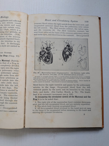 Elementary General Biology Part I by F. J. Wyeth - 1935 - G. Bell and Sons Ltd