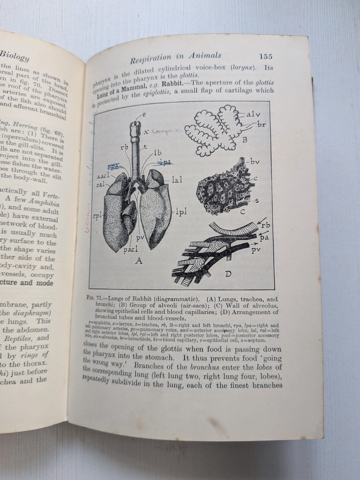 Elementary General Biology Part I by F. J. Wyeth - 1935 - G. Bell and Sons Ltd