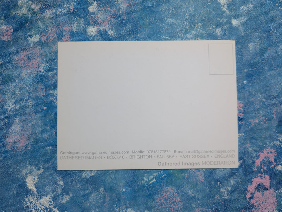 "Moderation In All Things" Novelty Slogan Postcard - Gathered Images