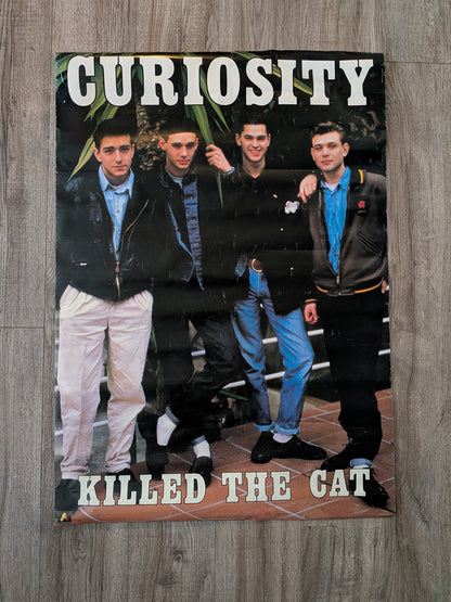 Vintage Curiosity Killed The Cat 1980s Pop Band Poster - 1987 - Anabas