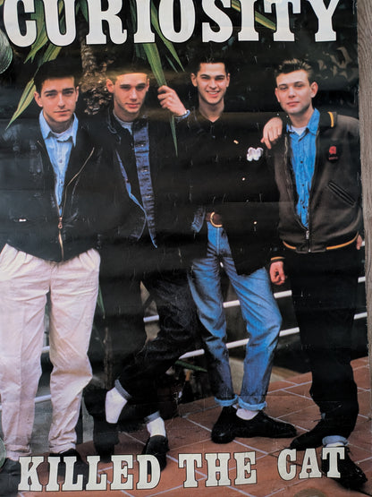 Vintage Curiosity Killed The Cat 1980s Pop Band Poster - 1987 - Anabas