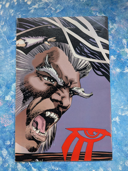 Shaman's Tears #2 - 1993 - Image Comic Book