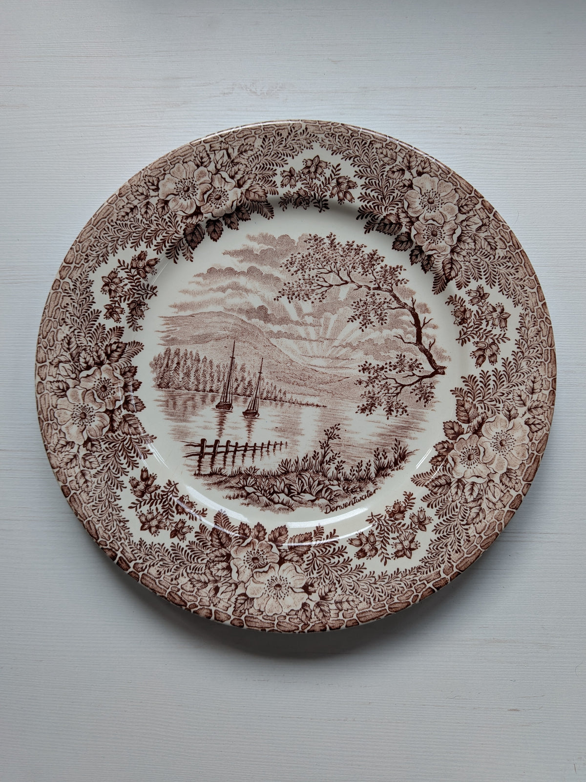 Vintage English Ironstone Derwentwater Dinner Plate