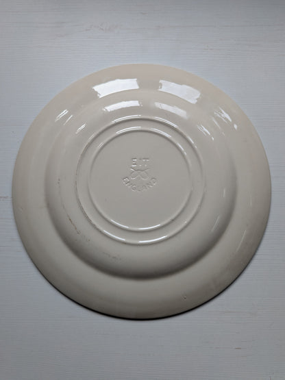 Vintage English Ironstone Derwentwater Dinner Plate