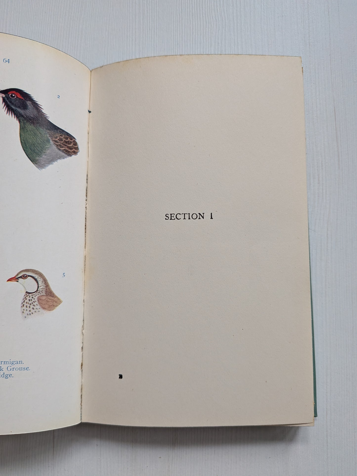 Name This Bird by Eric Fitch Daglish - 1950 - J. M. Dent & Sons Ltd