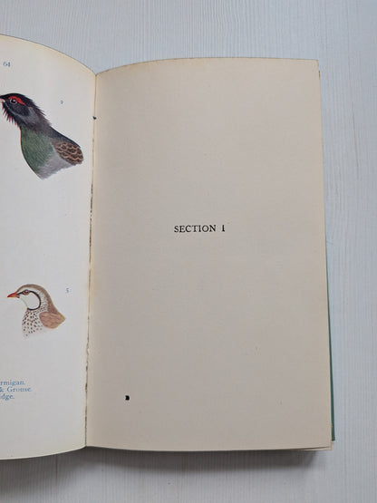 Name This Bird by Eric Fitch Daglish - 1950 - J. M. Dent & Sons Ltd