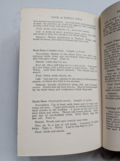 Name This Bird by Eric Fitch Daglish - 1950 - J. M. Dent & Sons Ltd
