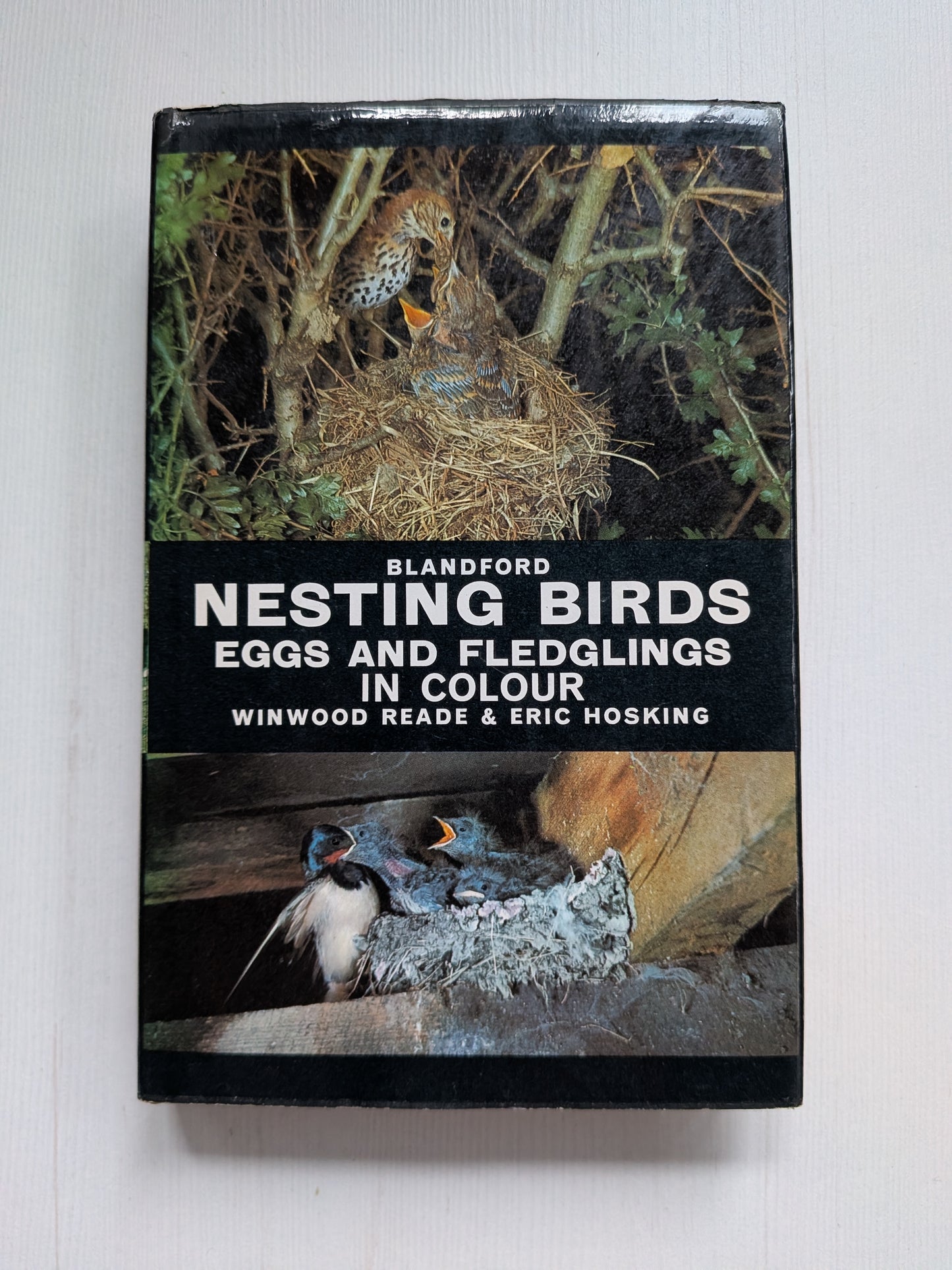 Nestling Birds: Eggs and Fledglings in Colour - Winwood Reade/Eric Hosking, 1967