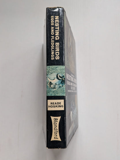 Nestling Birds: Eggs and Fledglings in Colour - Winwood Reade/Eric Hosking, 1967