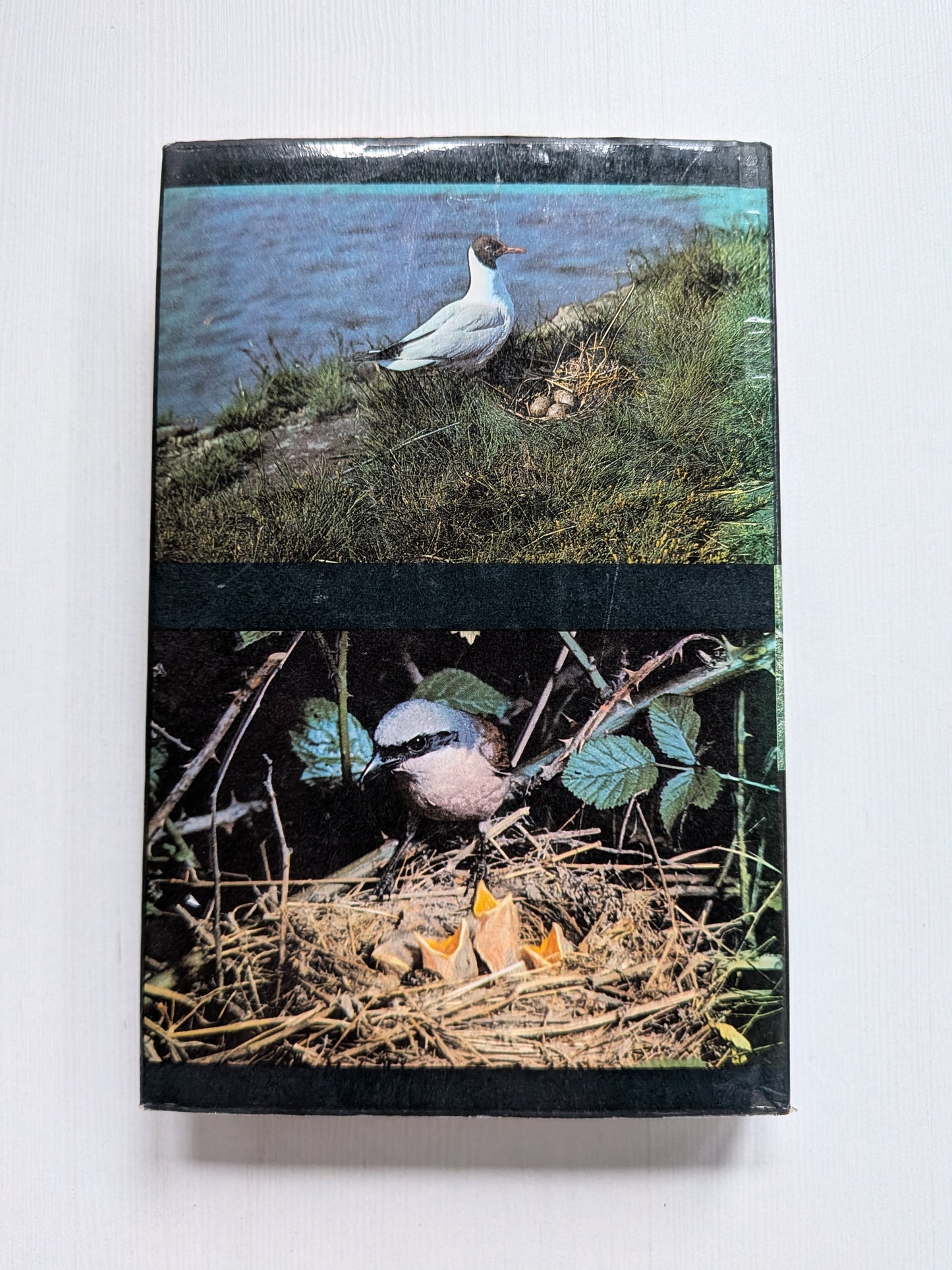 Nestling Birds: Eggs and Fledglings in Colour - Winwood Reade/Eric Hosking, 1967